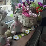 De Likua Ruzomberok