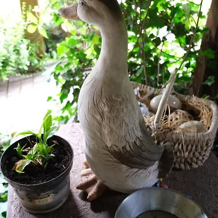 招待所 De Likua 鲁容贝罗克