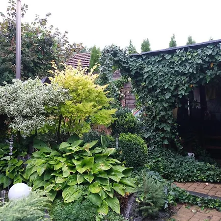 De Likua ゲストハウス ルジョムベロク