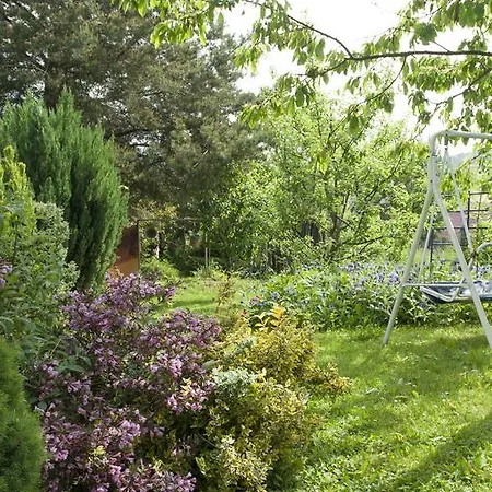 De Likua ルジョムベロク