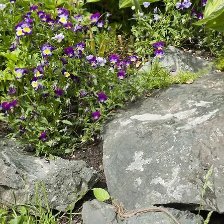 ゲストハウス De Likua ルジョムベロク